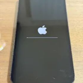 本日限定値段iPhone 12Pro MAX パシフィックブルー256