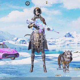 引退垢 お安く⭐️ | PUBG MOBILEのアカウントデータ、RMTの販売・買取一覧