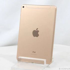 〔中古品〕 iPad mini 第5世代 64GB ゴールド MUX72J／A docomoロック解除SIMフリー【196】