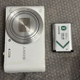 SONY DSC-WX350 12251