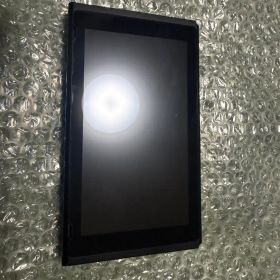 Nintendo Switch 本体 初期型 未対策機