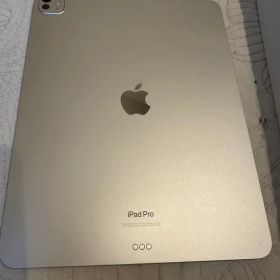 iPad Pro 13インチ wifiモデル シルバー 充電器付き m4