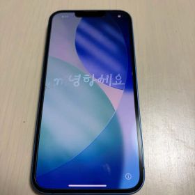 Apple iPhone 13 本体 ブルー
