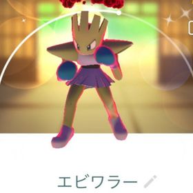 ヴァンダ様専用 | ポケモンGOのアカウントデータ、RMTの販売・買取一覧