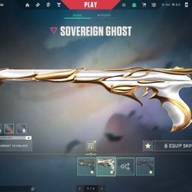 EP6 RADIANT 課金額27万 Champion2021～2024 限定スキンほぼコンプ | VALORANT(ヴァロラント)のアカウントデータ、RMTの販売・買取一覧