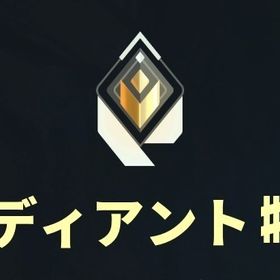 V25A1 元レディアントアカウント | VALORANT(ヴァロラント)のアカウントデータ、RMTの販売・買取一覧