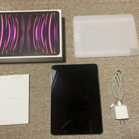 第4世代 256gb iPad Pro 11インチ wifi