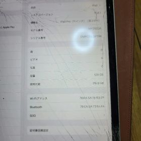 Ipad Pro 2020 11inch 128GB Wifi ジャンク