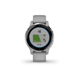 GARMIN vivoactive 4S Powder Gray/Silver 010-02172-07
