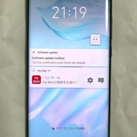 HUAWEI P30 Pro HW-02L