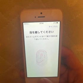 Apple iPhone SE -SIMフーリ