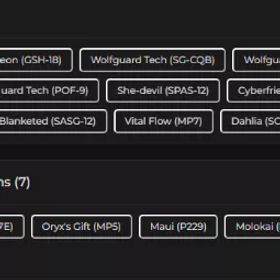 ランク参加可能