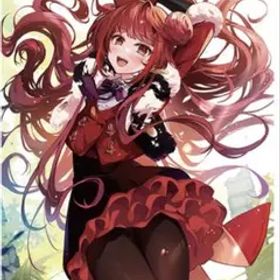 フレデリカ タペストリー frederica スイッチ switch B6ポスタ