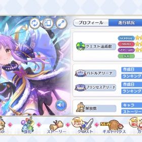 引退します 戦力2200万超え | プリンセスコネクト(プリコネR)のアカウントデータ、RMTの販売・買取一覧