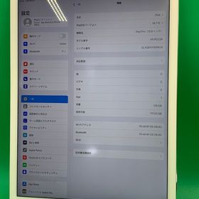 ★本体美品 iPad Pro 12.9インチ 第1世代 Wi-Fi シルバー