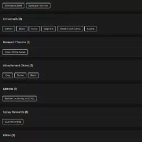 ランク参加可能💎131 スキン✨1 チャーム