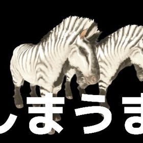 RARE SUPPORT しまうまエクウス 12/25🆙 | ARK Survival Evolvedのアカウントデータ、RMTの販売・買取一覧