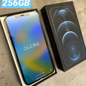 iPhone12Pro Max 256GB