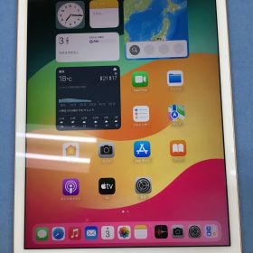 【動作確認・初期化済み】 美品 電池81％ SIMフリー Apple iPad mini 第5世代 256GB ゴールド 光漏れ 訳あり