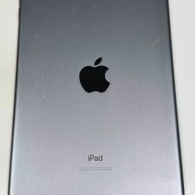 Apple iPad mini (第5世代) WiFi 64GB スペースグレイ 動作正常品 訳アリ品