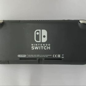 【64G SDカード】Nintendo Switch Lite グレー 本体