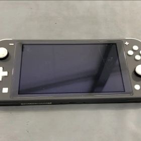 Switch ライト グレー