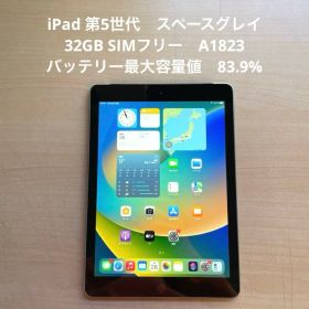 iPad 第5世代 スペースグレイ 32GB SIMフリー A1823