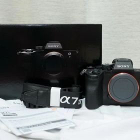 【バッテリー付き】SONY α7Ⅳ ILCE-7M4 ①