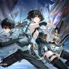 Asia星声76000個～ 限定キャラ石30、武器石20 | 鳴潮(Wuthering Waves)のアカウントデータ、RMTの販売・買取一覧