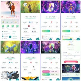 🔰【Lv71・2016年】色違いレックウザ100所持｜色違い370体｜高個体210体 | ポケモンGOのアカウントデータ、RMTの販売・買取一覧