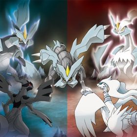 ✨✨ブラック・ホワイトキュレムレイド代行✨✨ | ポケモンGOの代行、RMTの販売・買取一覧