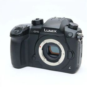 【中古】 《良品》 Panasonic LUMIX DC-GH5 ボディ 【センサークリーニング/背面液晶機構部品交換/三角環取付基部補修調整/各部点検済】 [ デジタルカメラ ]