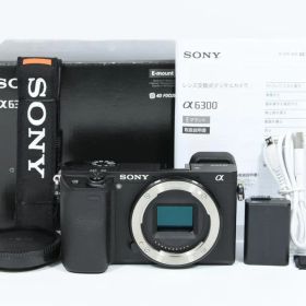 【超美品】SONY α6300 ILCE-6300 ボディ《ショット数1723》