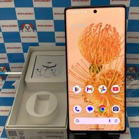 Google Pixel 6 Pro 256GB Stormy Black GA03111CA 海