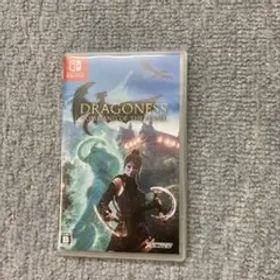 The Dragoness: Command of the Flameスイッチ