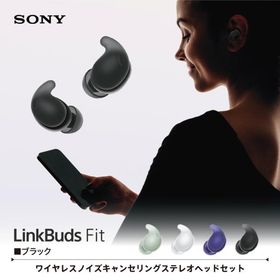 ソニー SONY 完全ワイヤレスイヤホン LinkBuds Fit リンクバッズフィット Bluetooth イヤホン ノイズキャンセリング WF-LS910N BZ ブラック