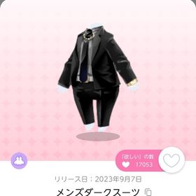 1点2500円 | ポケコロツイン(ポケツイ)のアカウントデータ、RMTの販売・買取一覧