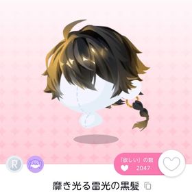 靡き光る雷光の黒髪 双子分 | ポケコロツイン(ポケツイ)のアカウントデータ、RMTの販売・買取一覧