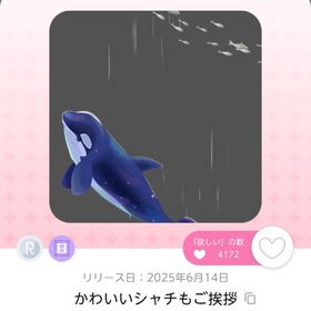 【1点+おまけ】Rainy marine parade | ポケコロツイン(ポケツイ)のアカウントデータ、RMTの販売・買取一覧