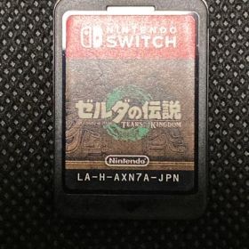 ゼルダの伝説 ティアーズ オブ ザ キングダム