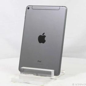 〔中古品〕 iPad mini 第5世代 256GB スペースグレイ MUXC2J／A docomoロック解除SIMフリー【371】