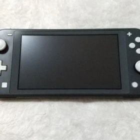 ジャンク Nintendo Switch Lite グレー 本体 不動品