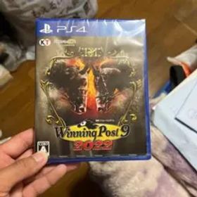 レッドデッドリデンプション2 PS4