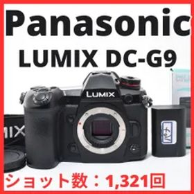 L23[7135A]77★美品★ パナソニック Panasonic LUMIX DC-G9 ボディ 【ショット数 1,321回】