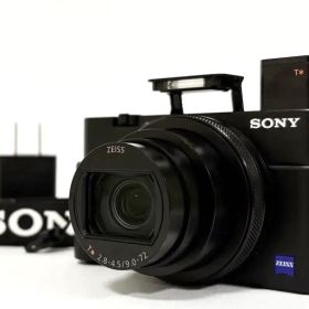 ◆美品◆ SONY DSC-RX100M6 RX100 VI バッテリー2個付き