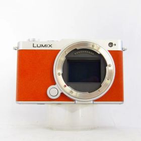 【中古】(パナソニック) Panasonic LUMIX S9 DC-S9N ボディ