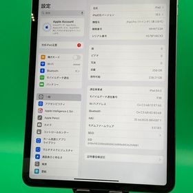 美品iPad Pro 11インチ 第3世代 Wi-Fi+Cellular 256GB スペースグレイ