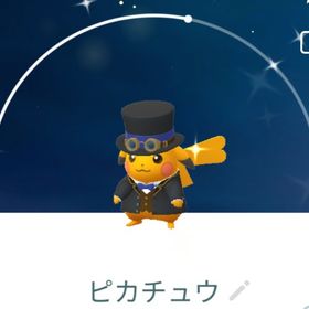 7678【PTC】在庫処分！色違いピカチュウ 青アクセント ♀ | ポケモンGOのアカウントデータ、RMTの販売・買取一覧