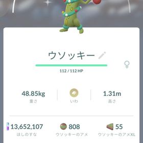 汰様専用 | ポケモンGOのアカウントデータ、RMTの販売・買取一覧