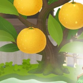 廃盤【ぽかぽか柚子湯の島】※バラ売り | リヴリーアイランドのアイテム、RMTの販売・買取一覧